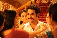 NTR Dammu Exclusive Stills